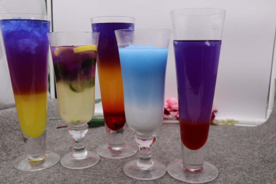 贵阳泰国蝶豆花培训